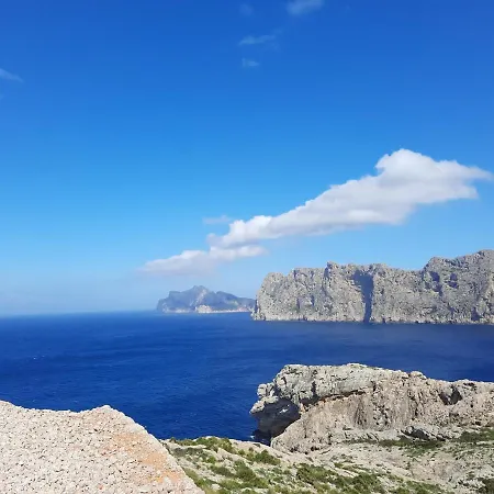 Pollentia Mar, Puerto